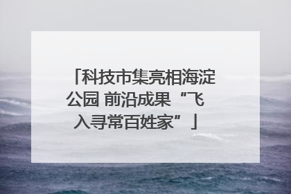科技市集亮相海淀公园 前沿成果“飞入寻常百姓家”