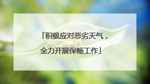 积极应对恶劣天气，全力开展保畅工作