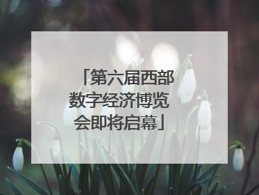 第六届西部数字经济博览会即将启幕