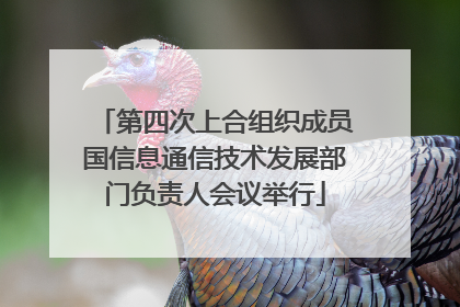 第四次上合组织成员国信息通信技术发展部门负责人会议举行