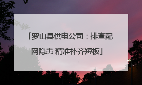 罗山县供电公司：排查配网隐患 精准补齐短板