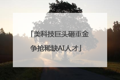 美科技巨头砸重金争抢稀缺AI人才