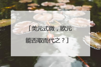 美元式微，欧元能否取而代之？