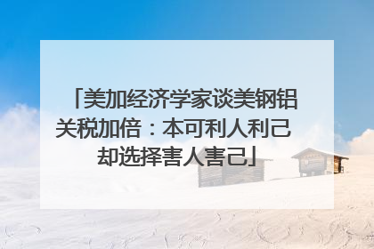 美加经济学家谈美钢铝关税加倍：本可利人利己 却选择害人害己