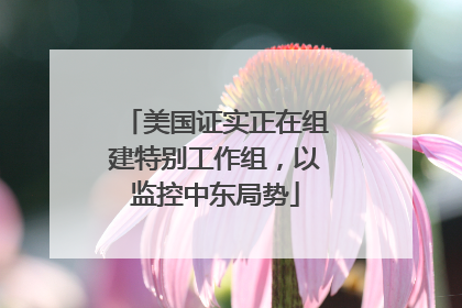 美国证实正在组建特别工作组，以监控中东局势