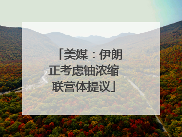 美媒：伊朗正考虑铀浓缩联营体提议