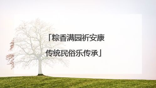 粽香满园祈安康 传统民俗乐传承