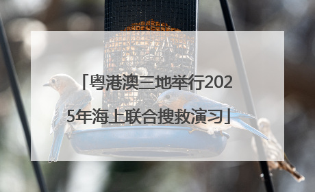 粤港澳三地举行2025年海上联合搜救演习
