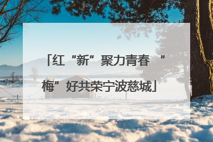 红“新”聚力青春 “梅”好共荣宁波慈城