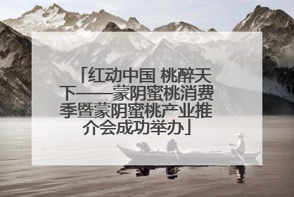红动中国 桃醉天下——蒙阴蜜桃消费季暨蒙阴蜜桃产业推介会成功举办
