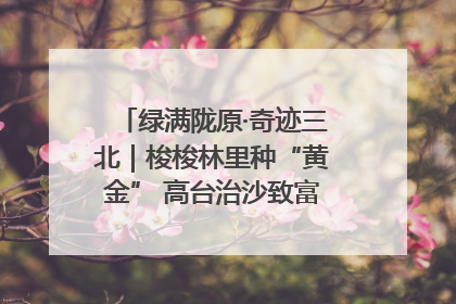 绿满陇原·奇迹三北｜梭梭林里种“黄金” 高台治沙致富很“从容”