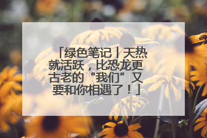 绿色笔记丨天热就活跃，比恐龙更古老的“我们”又要和你相遇了！