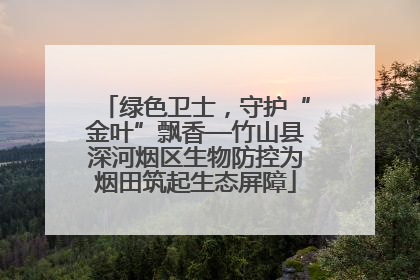 绿色卫士，守护“金叶”飘香—竹山县深河烟区生物防控为烟田筑起生态屏障