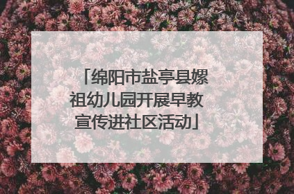 绵阳市盐亭县嫘祖幼儿园开展早教宣传进社区活动