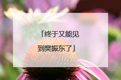 终于又能见到樊振东了