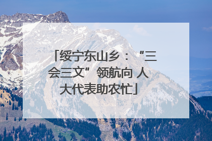 绥宁东山乡：“三会三文”领航向 人大代表助农忙