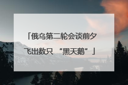 俄乌第二轮会谈前夕 飞出数只 “黑天鹅”
