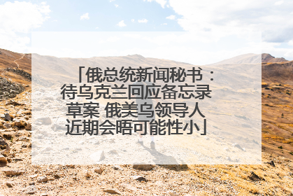 俄总统新闻秘书：待乌克兰回应备忘录草案 俄美乌领导人近期会晤可能性小