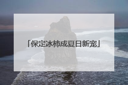 保定冰柿成夏日新宠