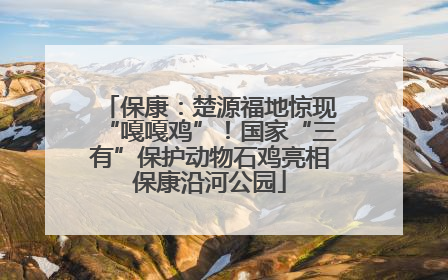 保康：楚源福地惊现“嘎嘎鸡”！国家“三有”保护动物石鸡亮相保康沿河公园