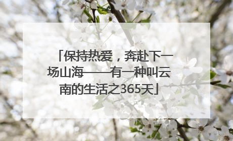 保持热爱，奔赴下一场山海——有一种叫云南的生活之365天