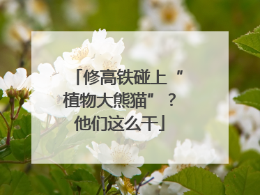 修高铁碰上“植物大熊猫”？他们这么干