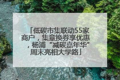 低碳市集联动55家商户，集章换券享优惠，杨浦“减碳嘉年华”周末亮相大学路
