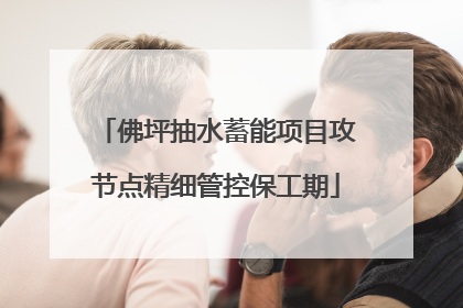 佛坪抽水蓄能项目攻节点精细管控保工期