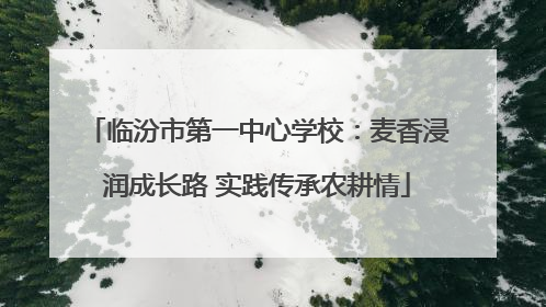 临汾市第一中心学校：麦香浸润成长路 实践传承农耕情
