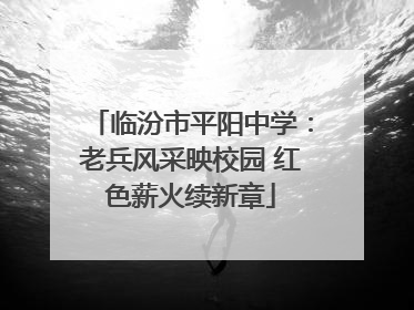 临汾市平阳中学：老兵风采映校园 红色薪火续新章