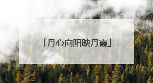 丹心向阳映丹霞
