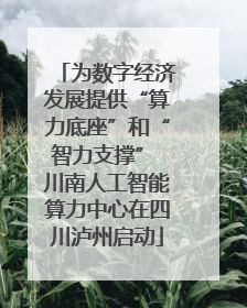 为数字经济发展提供“算力底座”和“智力支撑” 川南人工智能算力中心在四川泸州启动