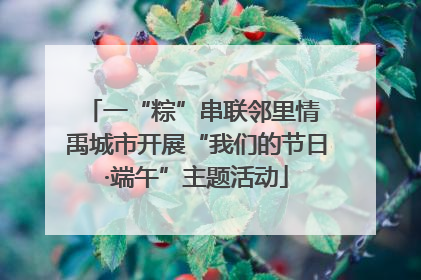 一“粽”串联邻里情 禹城市开展“我们的节日·端午”主题活动
