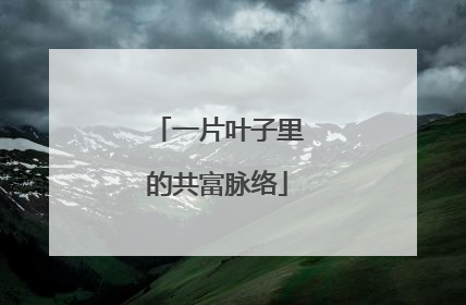 一片叶子里的共富脉络