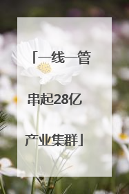 一线一管串起28亿产业集群