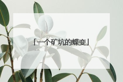 一个矿坑的蝶变