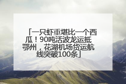 一只虾重堪比一个西瓜！90吨活波龙运抵鄂州，花湖机场货运航线突破100条