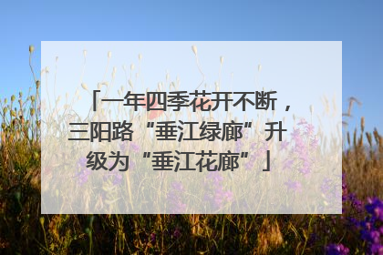 一年四季花开不断，三阳路“垂江绿廊”升级为“垂江花廊”