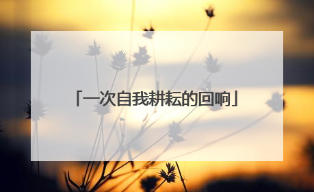一次自我耕耘的回响