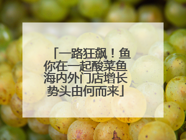 一路狂飙！鱼你在一起酸菜鱼海内外门店增长势头由何而来