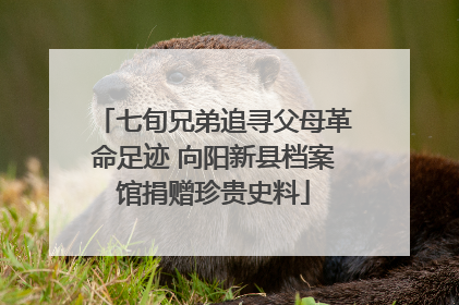 七旬兄弟追寻父母革命足迹 向阳新县档案馆捐赠珍贵史料