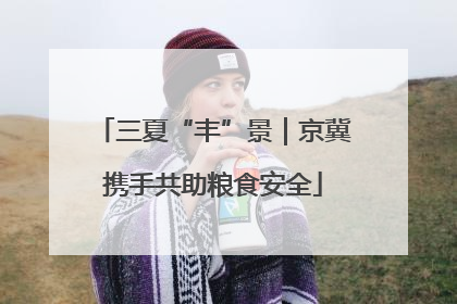 三夏“丰”景｜京冀携手共助粮食安全