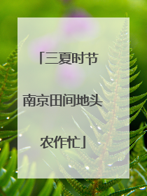 三夏时节 南京田间地头农作忙