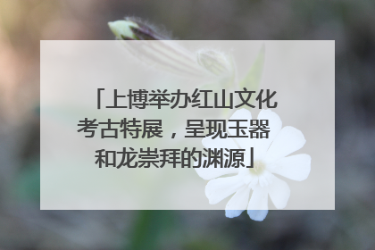 上博举办红山文化考古特展，呈现玉器和龙崇拜的渊源