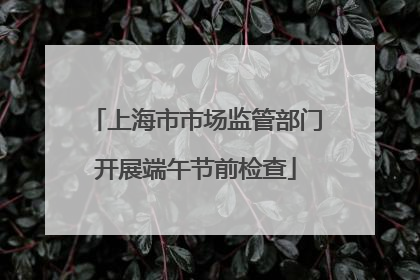 上海市市场监管部门开展端午节前检查