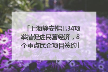上海静安推出34项举措促进民营经济，8个重点民企项目签约