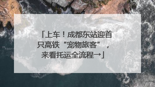 上车！成都东站迎首只高铁“宠物旅客”，来看托运全流程→