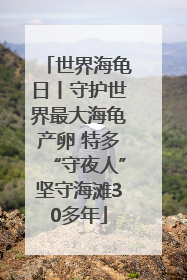 世界海龟日丨守护世界最大海龟产卵 特多“守夜人”坚守海滩30多年
