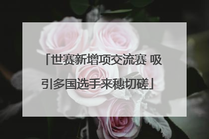 世赛新增项交流赛 吸引多国选手来穗切磋
