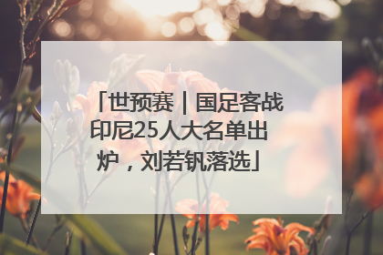 世预赛｜国足客战印尼25人大名单出炉，刘若钒落选